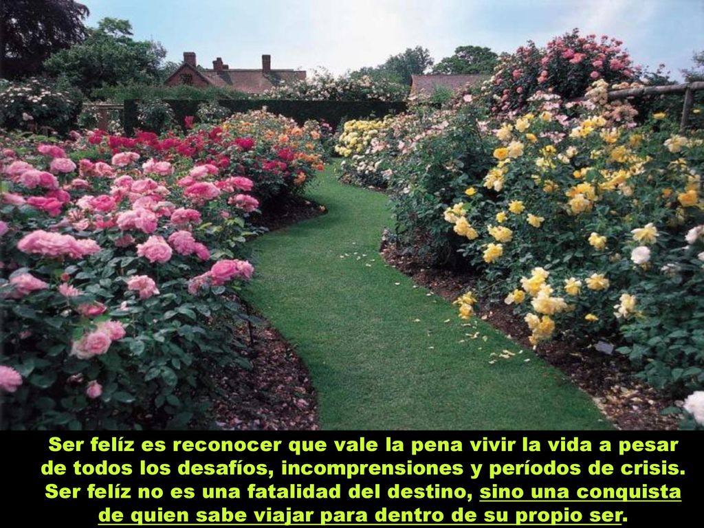 Ser felíz es reconocer que vale la pena vivir la vida a pesar de todos los desafíos, incomprensiones y períodos de crisis.
