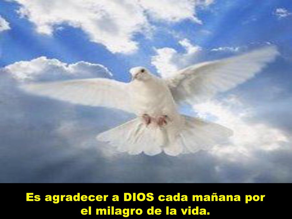 Es agradecer a DIOS cada mañana por el milagro de la vida.