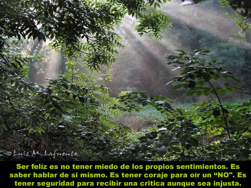Ser felíz es no tener miedo de los propios sentimientos