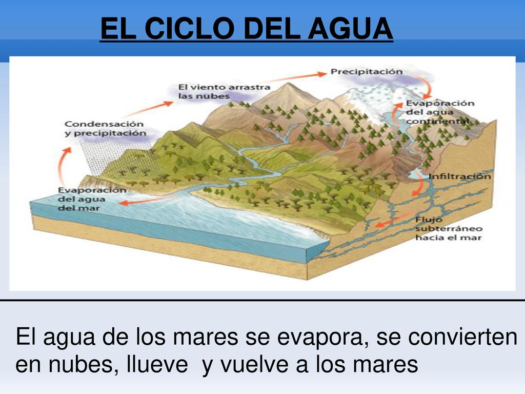 EL CICLO DEL AGUA El agua de los mares se evapora, se convierten