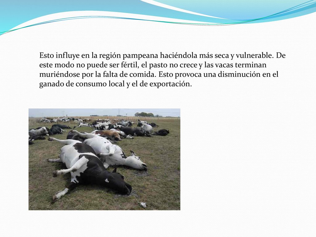 Esto influye en la región pampeana haciéndola más seca y vulnerable
