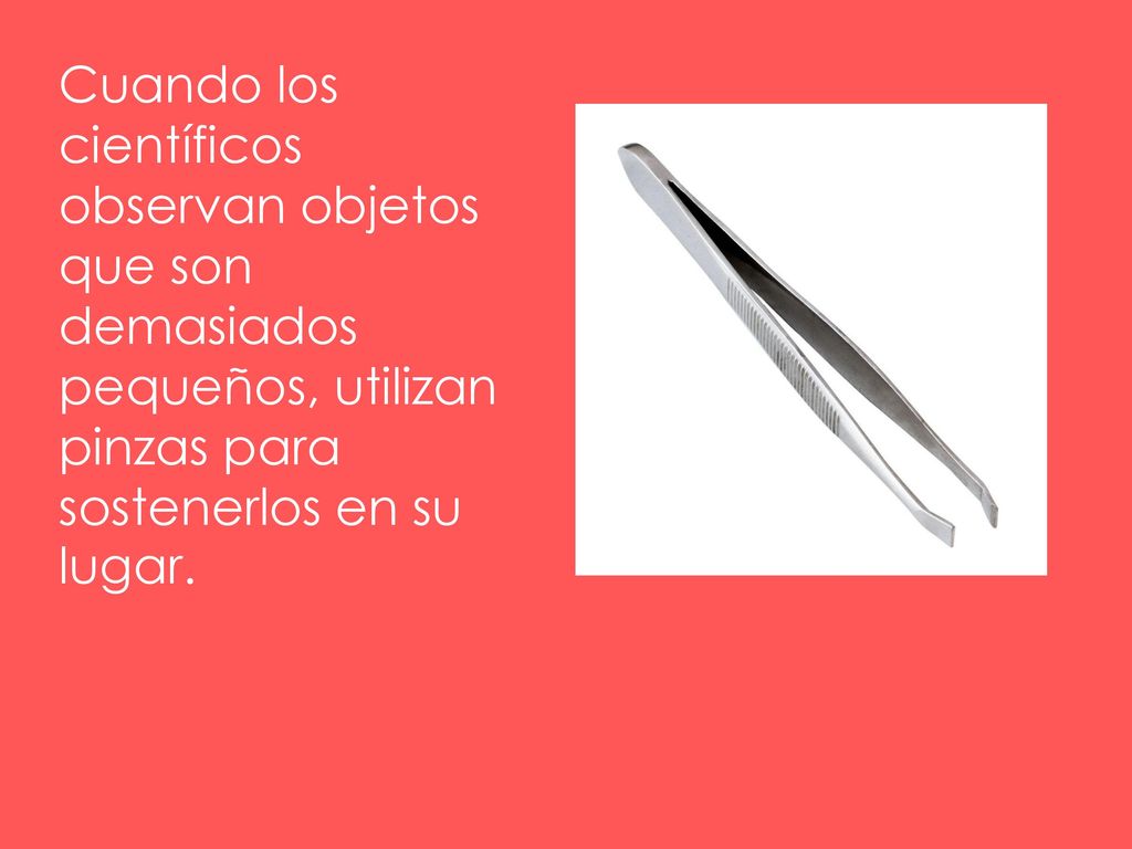 Cuando los científicos observan objetos que son demasiados pequeños, utilizan pinzas para sostenerlos en su lugar.