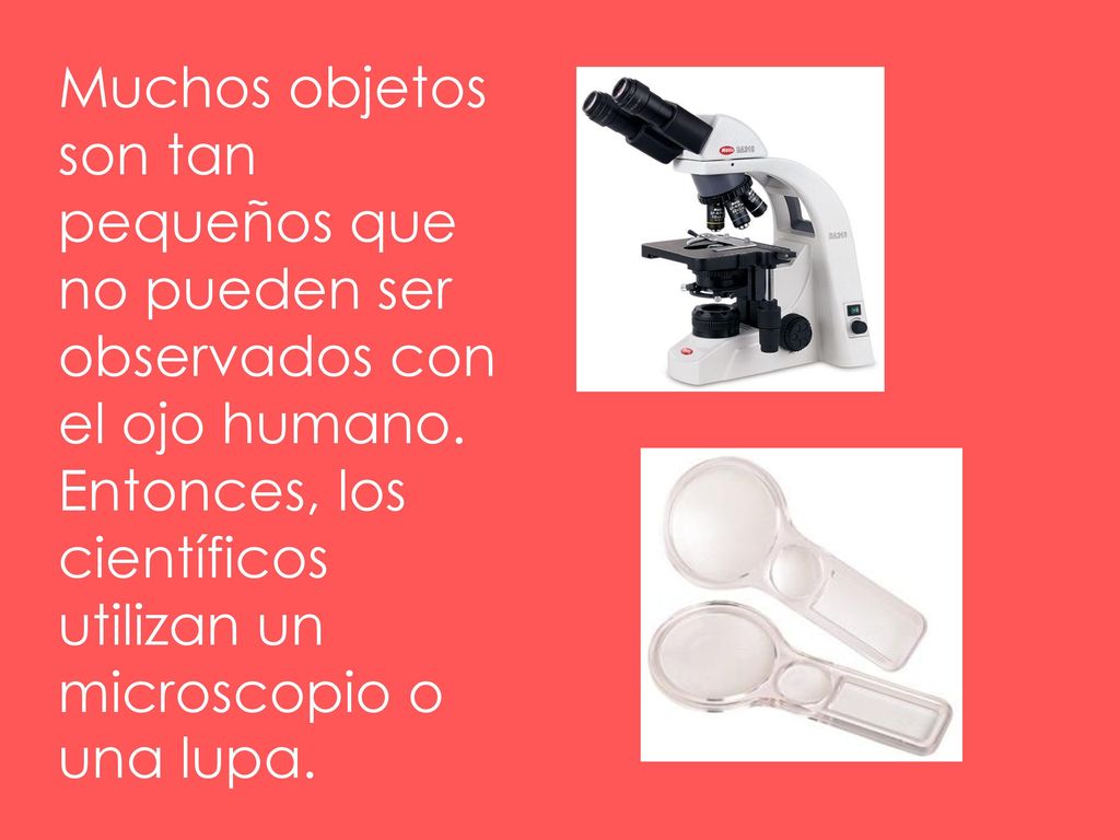Muchos objetos son tan pequeños que no pueden ser observados con el ojo humano.