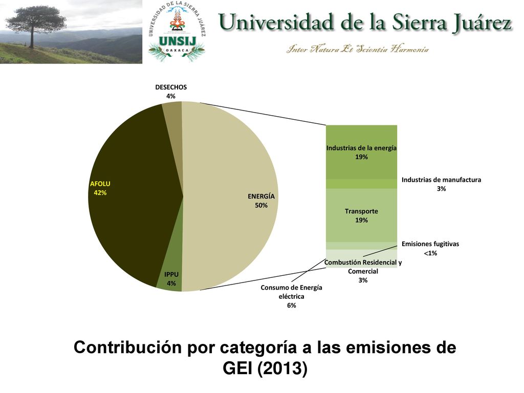 Contribución por categoría a las emisiones de GEI (2013)