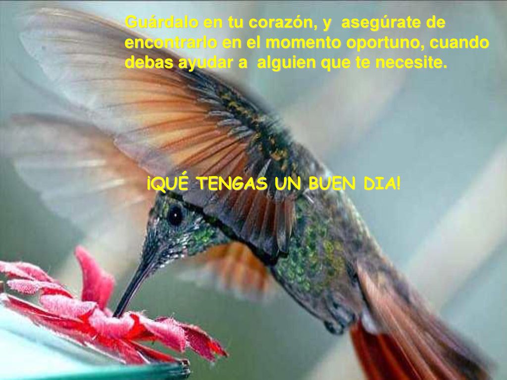 Guárdalo en tu corazón, y asegúrate de encontrarlo en el momento oportuno, cuando debas ayudar a alguien que te necesite.