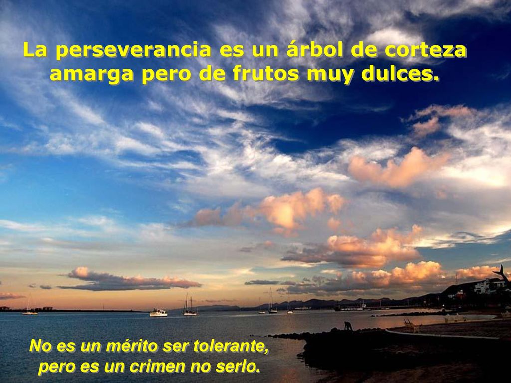 La perseverancia es un árbol de corteza