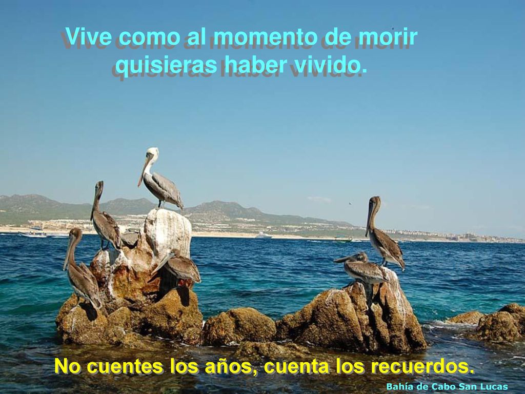 Vive como al momento de morir quisieras haber vivido.
