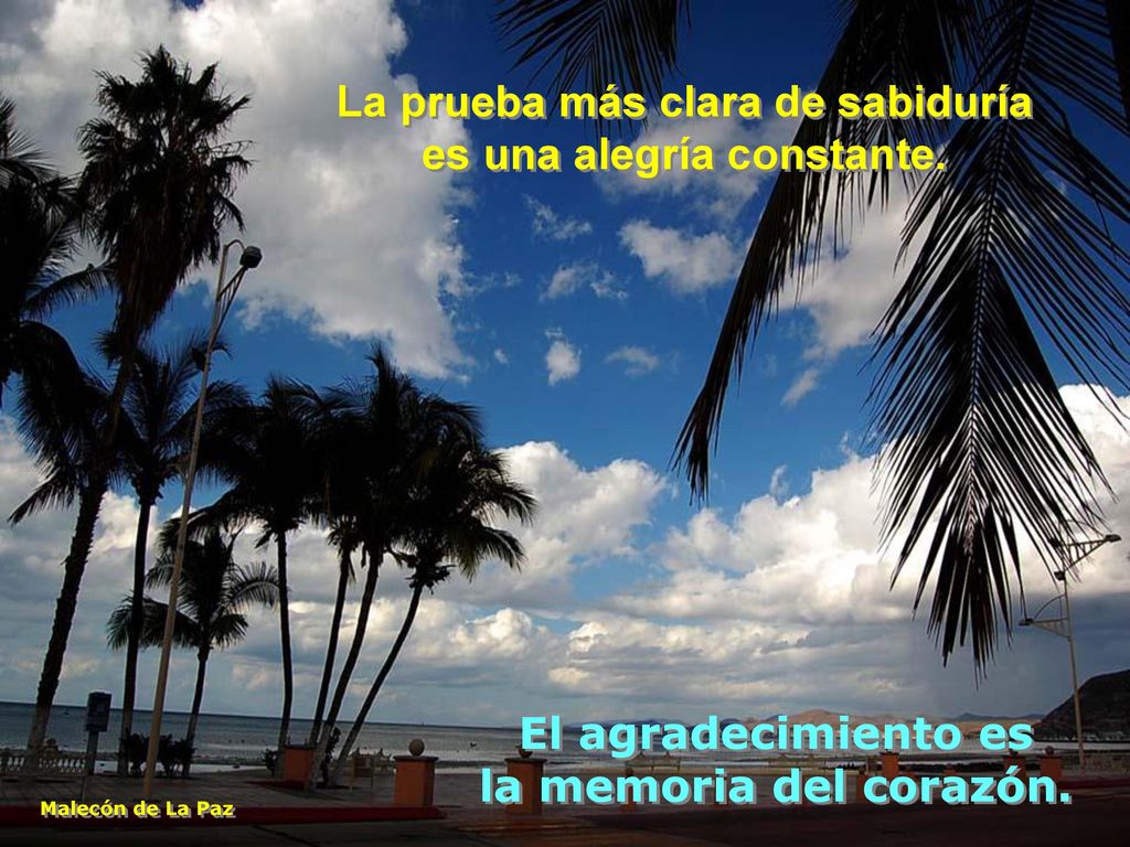 La prueba más clara de sabiduría es una alegría constante.