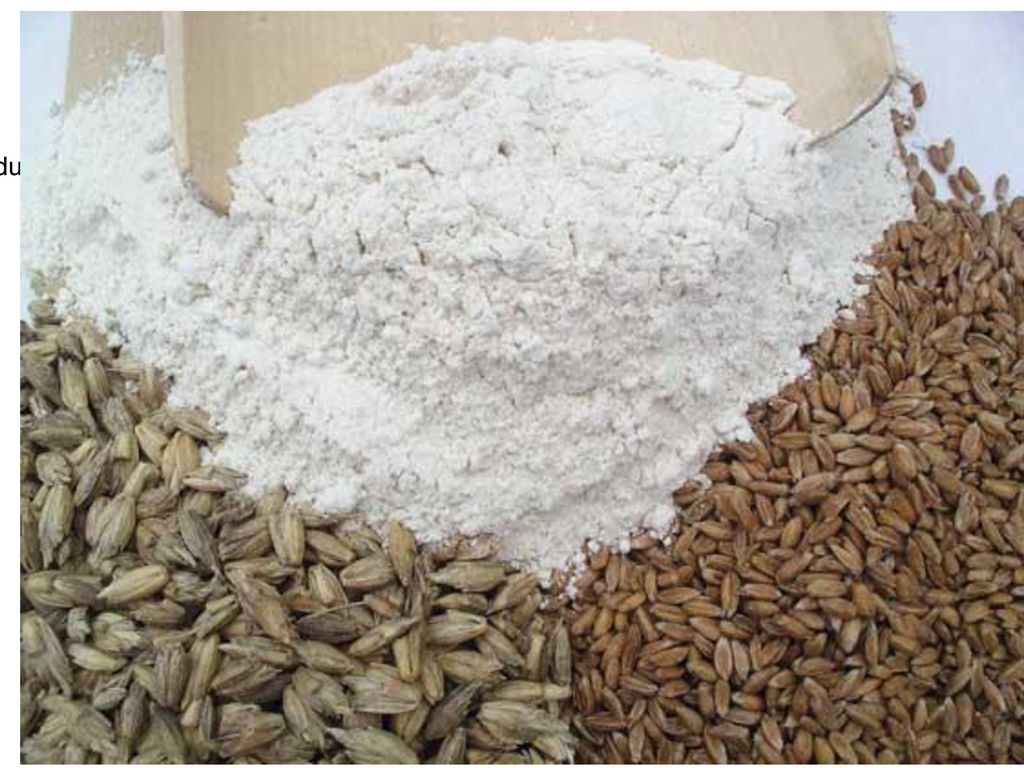 Como fruto de estas iniciativas se produce una, todavía tímida, recuperación del cultivo de la escanda, que en la actualidad ocupa una superficie superior a las 30 ha.