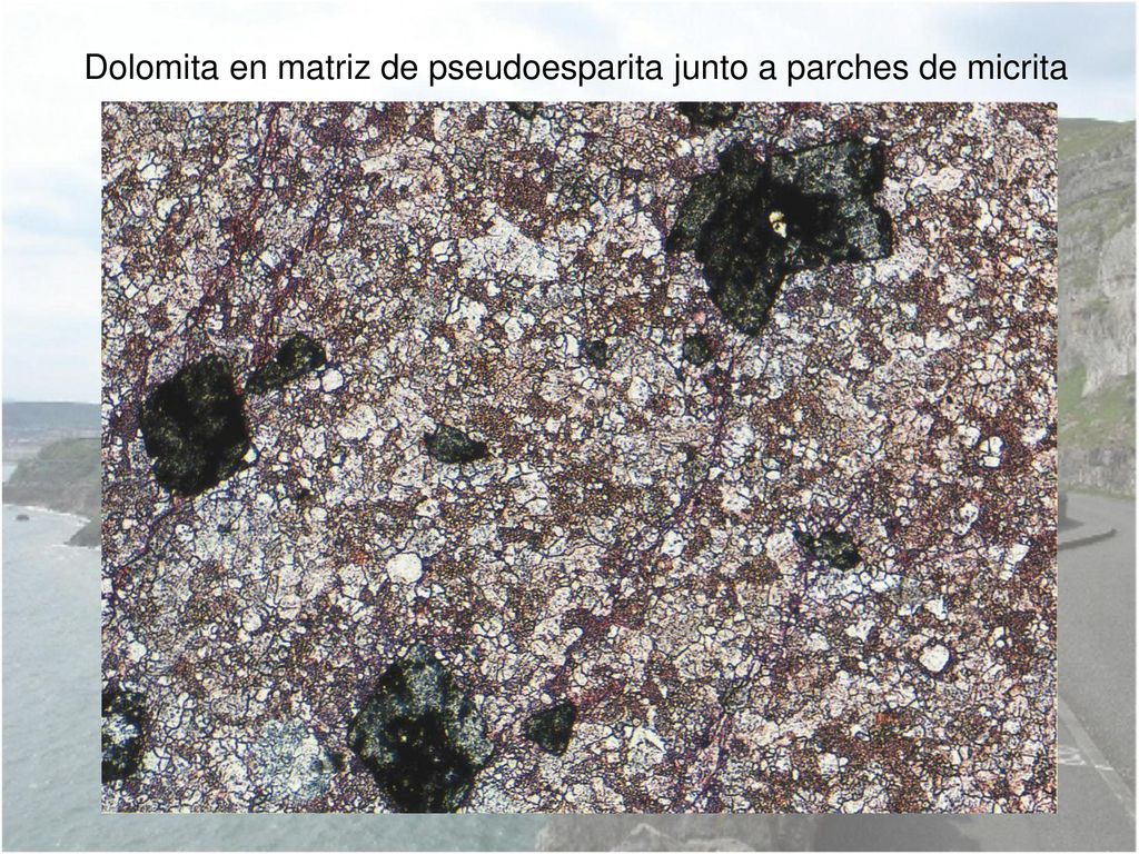 Dolomita en matriz de pseudoesparita junto a parches de micrita