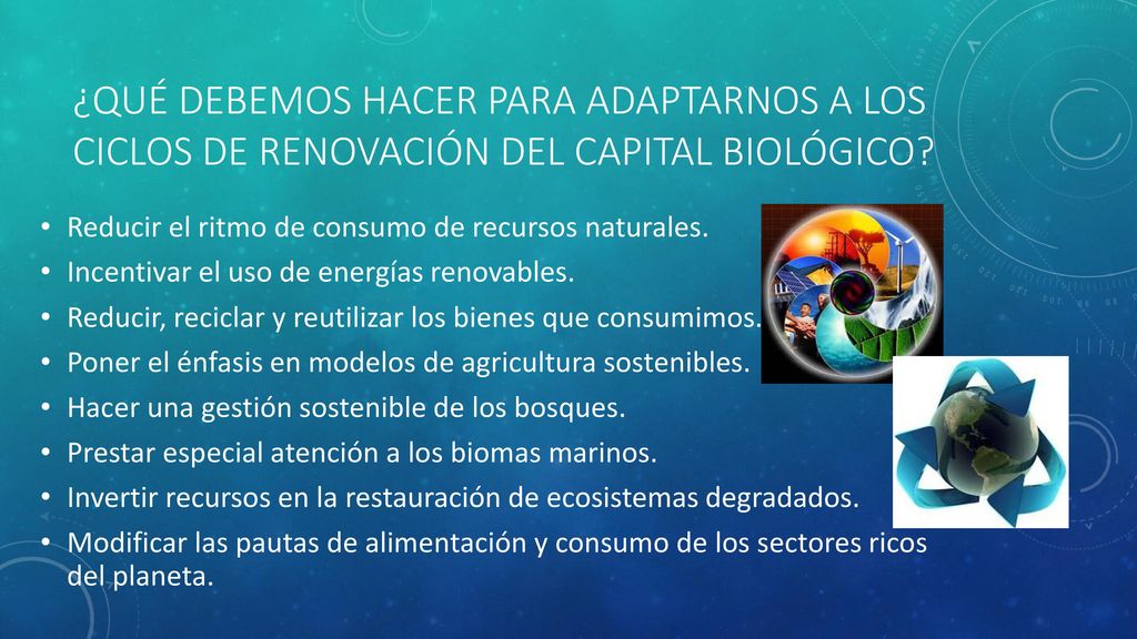 ¿Qué debemos hacer para adaptarnos a los ciclos de renovación del capital biológico