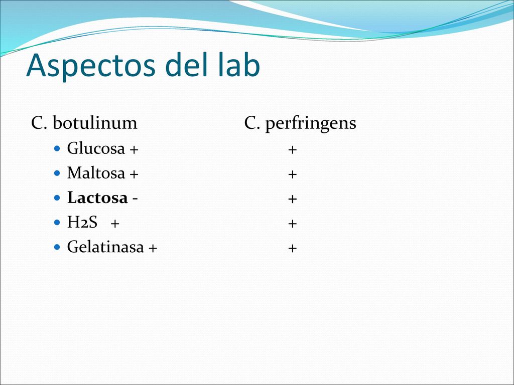 Aspectos del lab C. botulinum C. perfringens Glucosa + + Maltosa + +