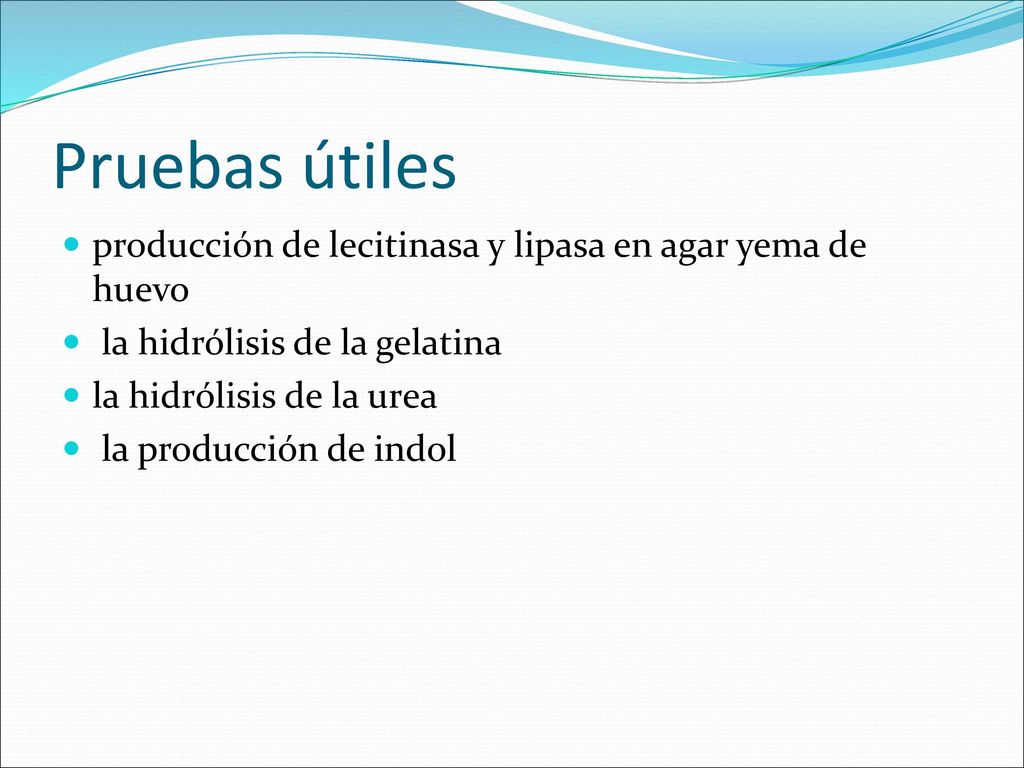 Pruebas útiles producción de lecitinasa y lipasa en agar yema de huevo