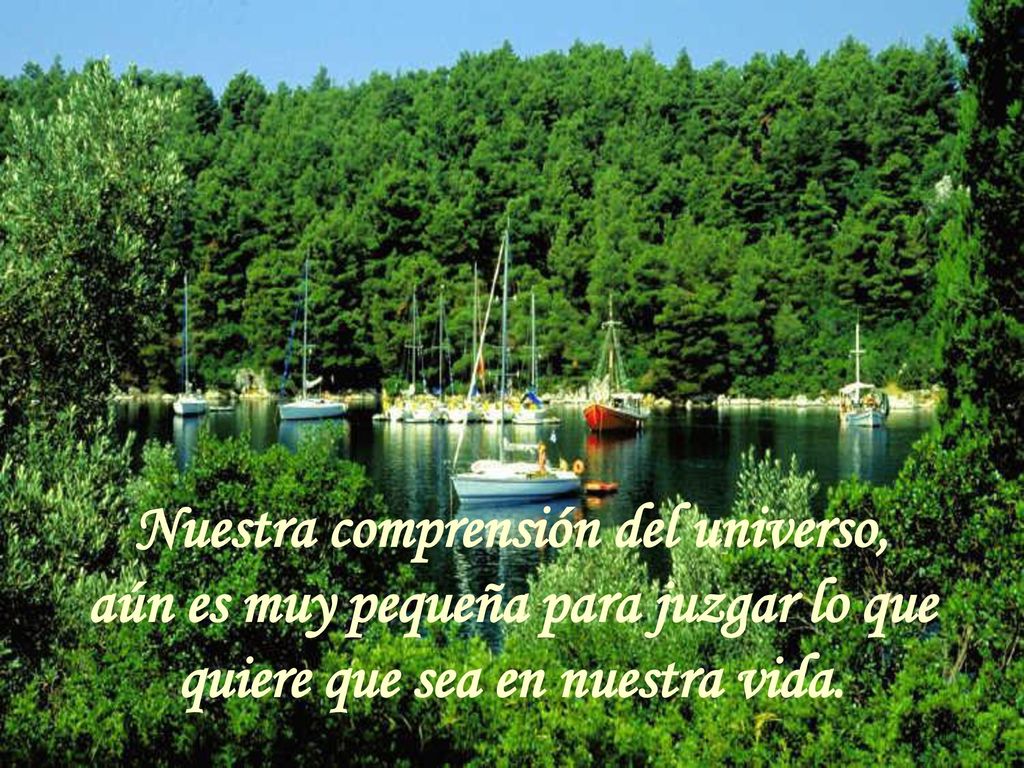 Nuestra comprensión del universo, aún es muy pequeña para juzgar lo que quiere que sea en nuestra vida.