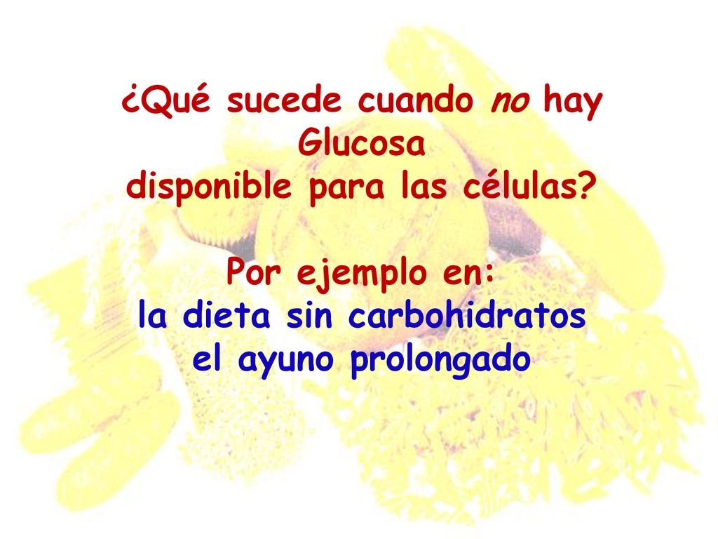 ¿Qué sucede cuando no hay Glucosa disponible para las células