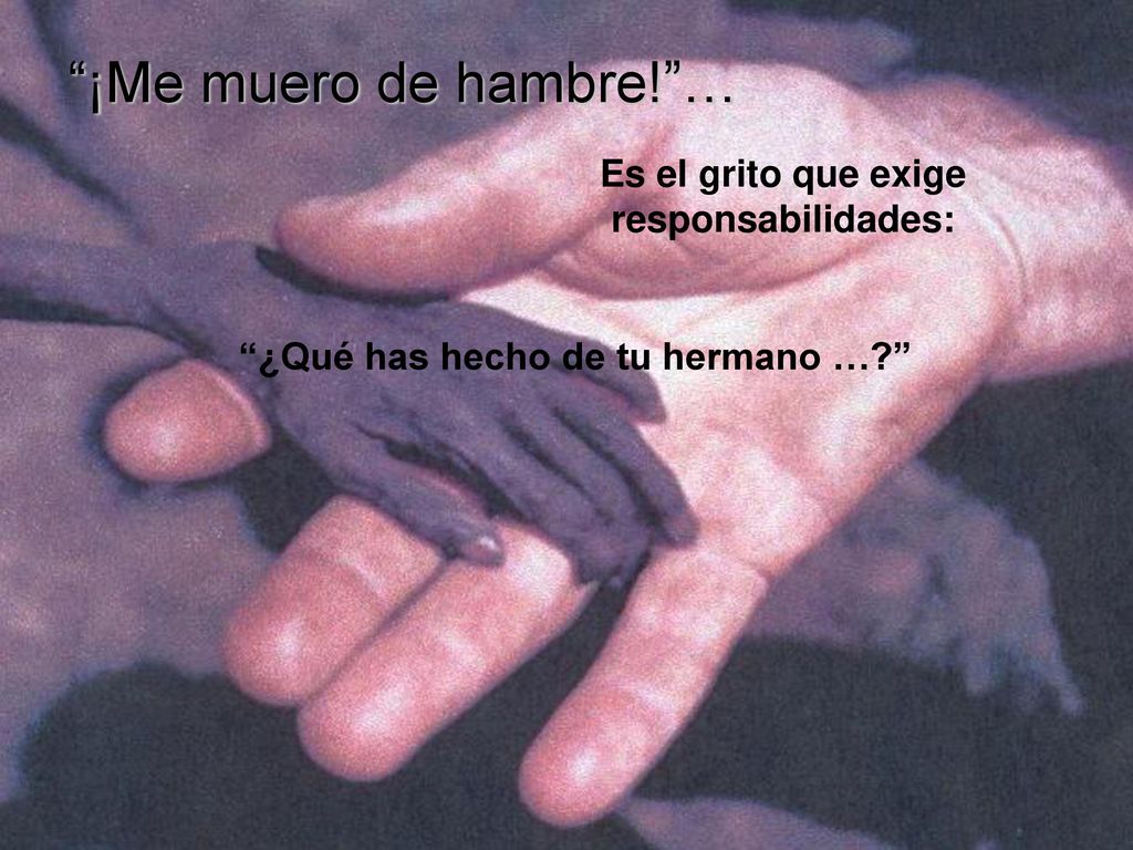 ¡Me muero de hambre! … Es el grito que exige responsabilidades: