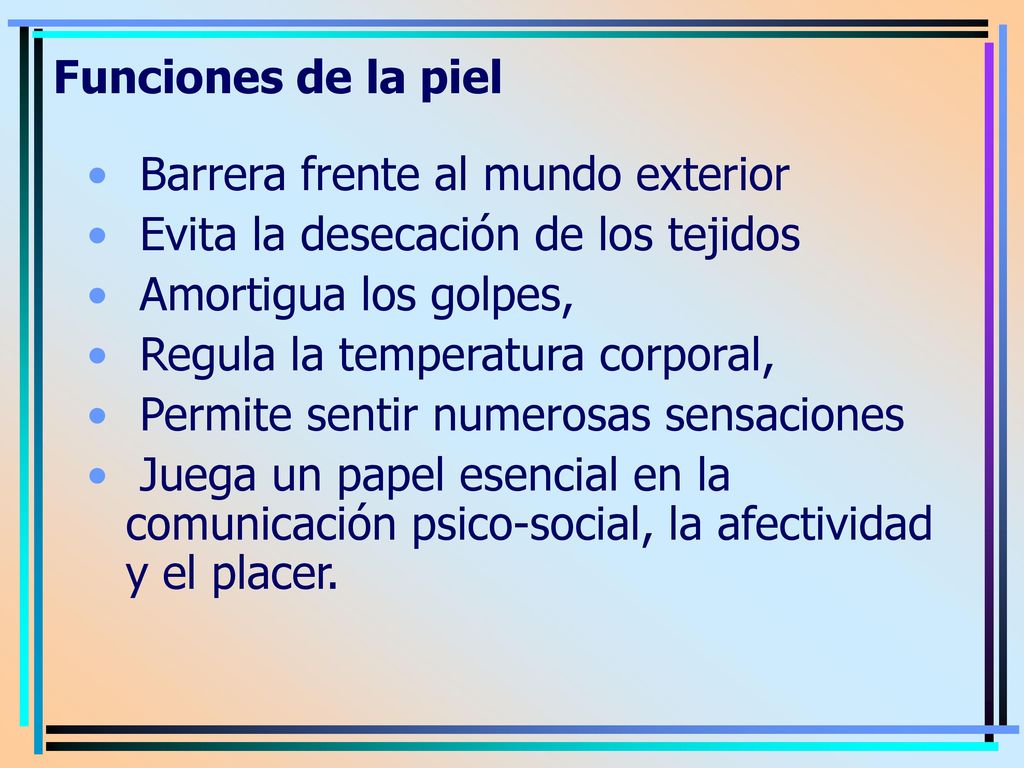 Funciones de la piel Barrera frente al mundo exterior. Evita la desecación de los tejidos. Amortigua los golpes,