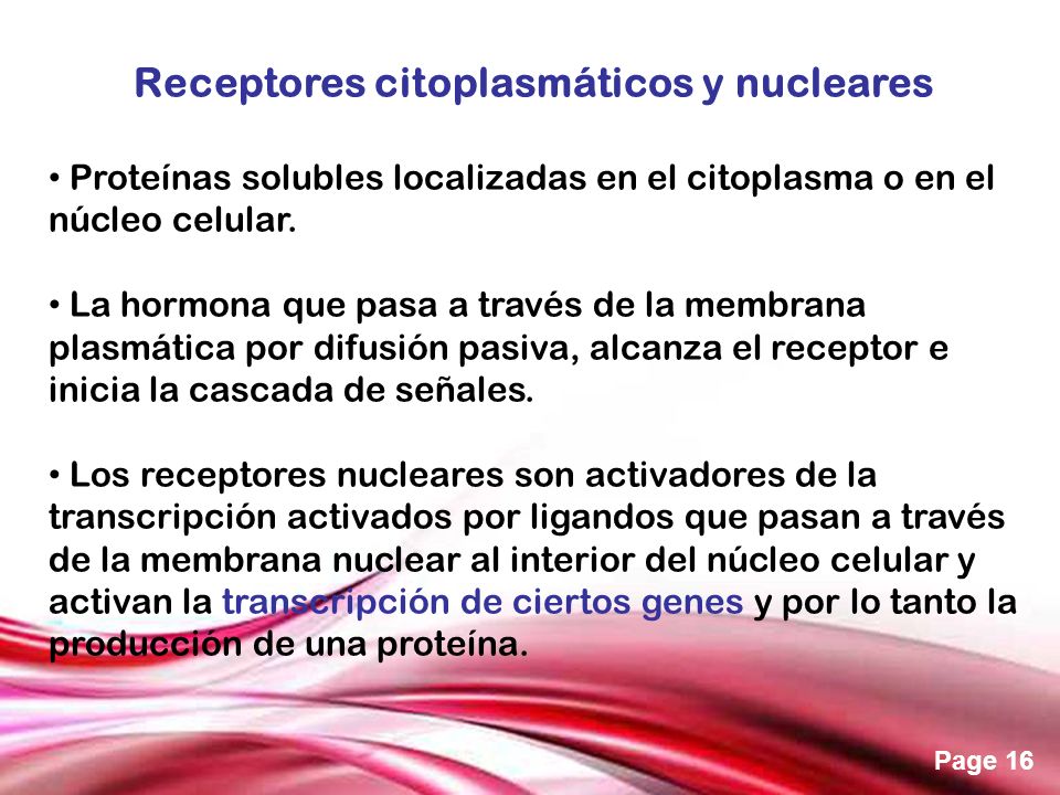 Receptores citoplasmáticos y nucleares