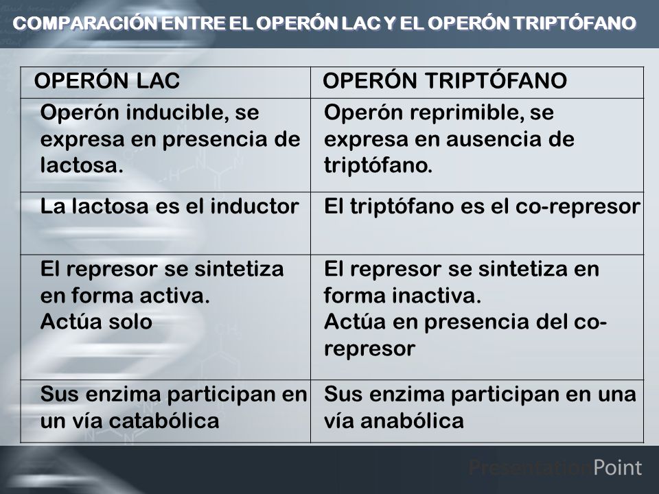 COMPARACIÓN ENTRE EL OPERÓN LAC Y EL OPERÓN TRIPTÓFANO