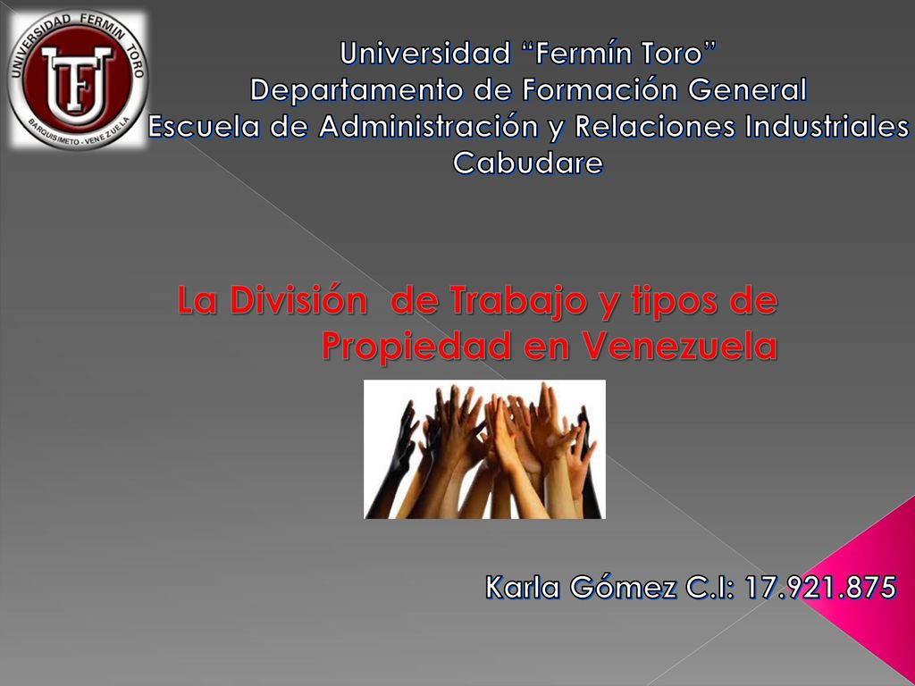 La División de Trabajo y tipos de Propiedad en Venezuela