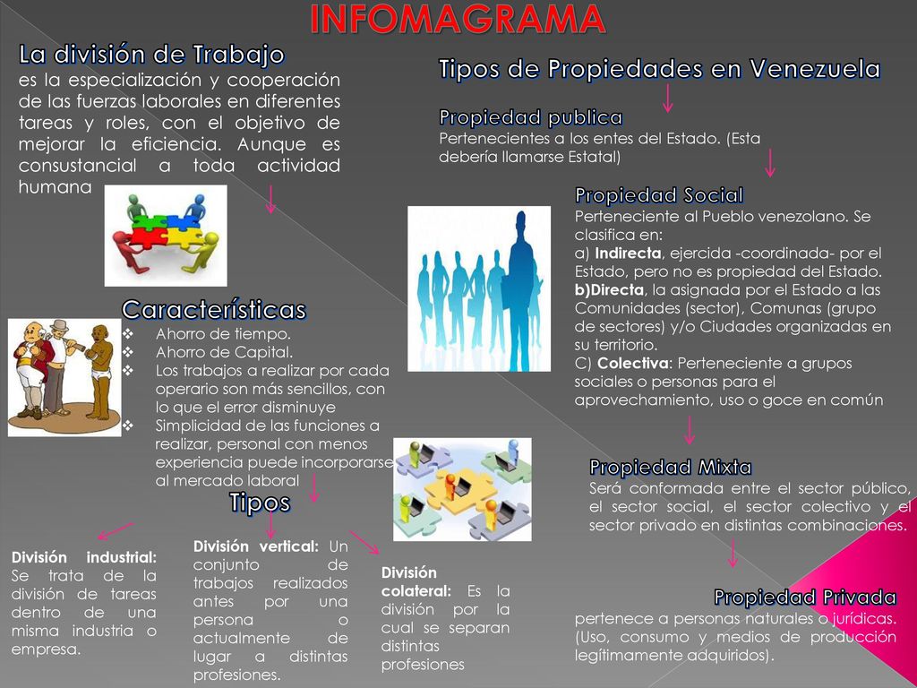 INFOMAGRAMA La división de Trabajo Tipos de Propiedades en Venezuela