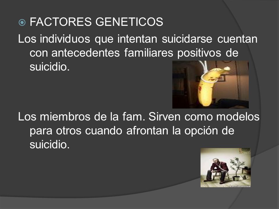 FACTORES GENETICOS Los individuos que intentan suicidarse cuentan con antecedentes familiares positivos de suicidio.