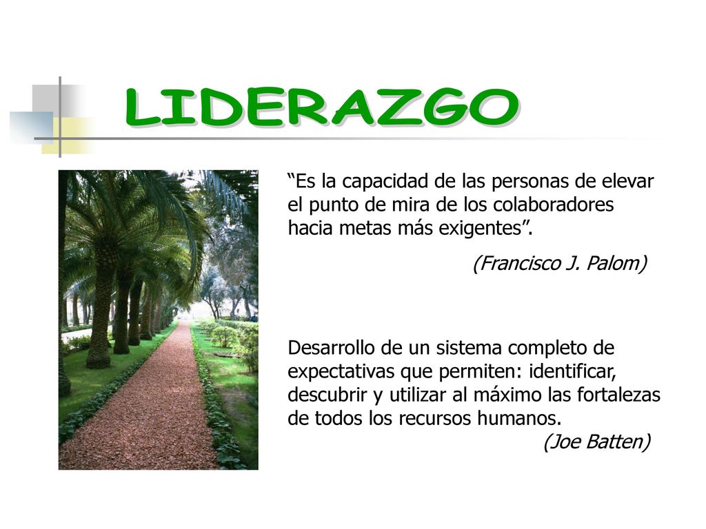 LIDERAZGO Es la capacidad de las personas de elevar el punto de mira de los colaboradores hacia metas más exigentes .
