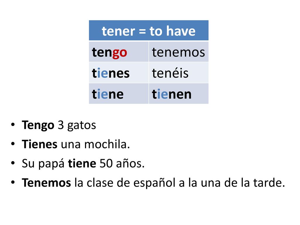 tener = to have tengo tenemos tienes tenéis tiene tienen Tengo 3 gatos