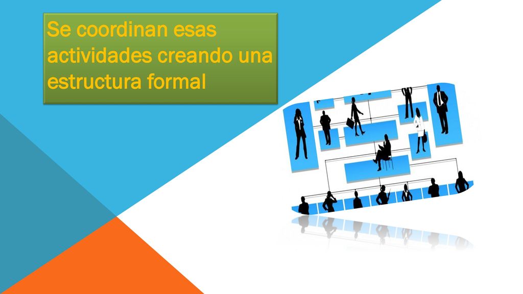 Se coordinan esas actividades creando una estructura formal