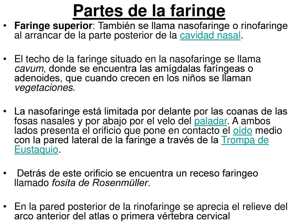 Partes de la faringe Faringe superior: También se llama nasofaringe o rinofaringe al arrancar de la parte posterior de la cavidad nasal.