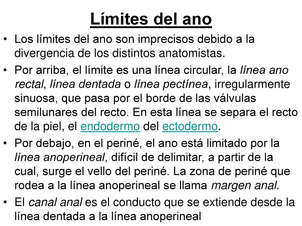 Límites del ano Los límites del ano son imprecisos debido a la divergencia de los distintos anatomistas.