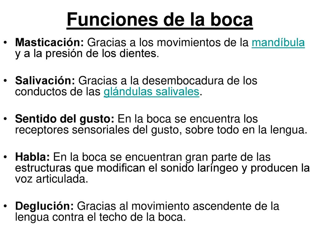 Funciones de la boca Masticación: Gracias a los movimientos de la mandíbula y a la presión de los dientes.