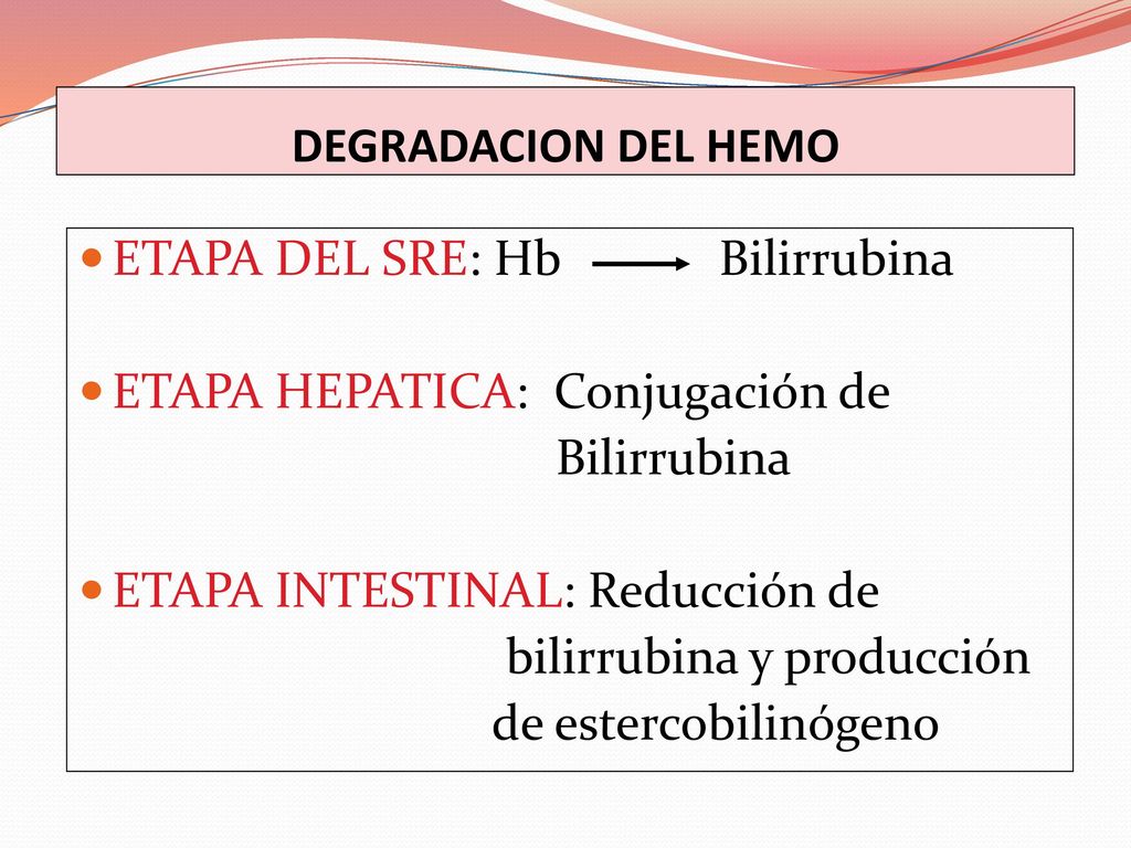 DEGRADACION DEL HEMO ETAPA DEL SRE: Hb Bilirrubina. ETAPA HEPATICA: Conjugación de. Bilirrubina.