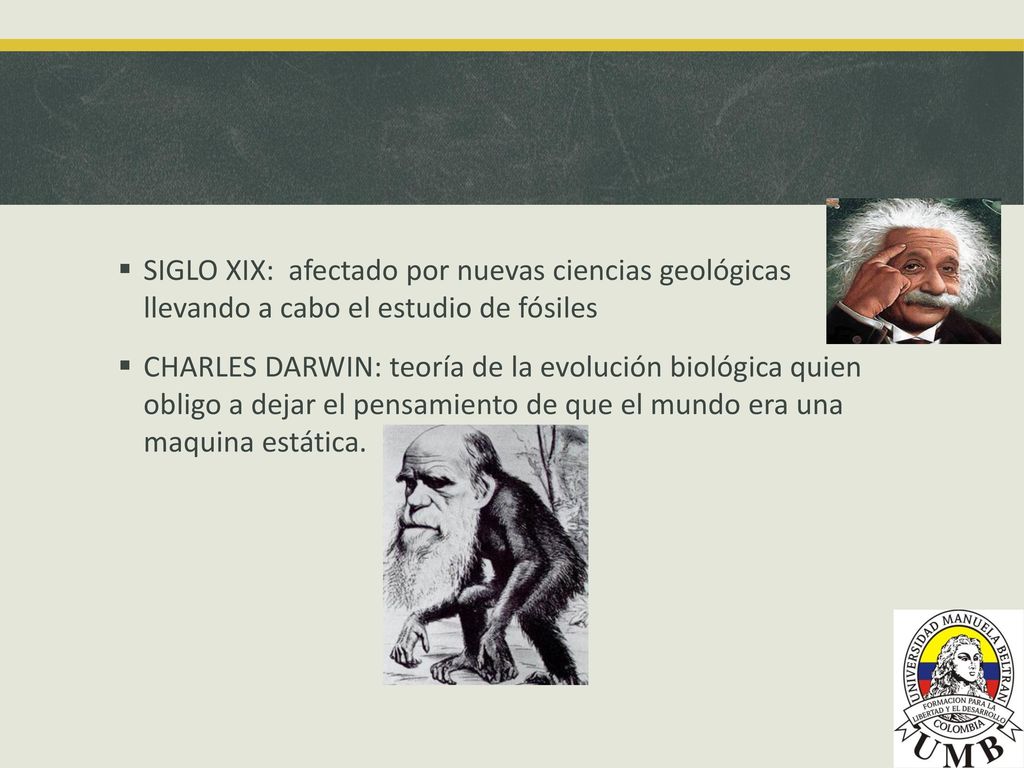 SIGLO XIX: afectado por nuevas ciencias geológicas llevando a cabo el estudio de fósiles