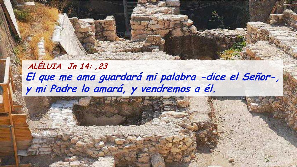 ALÉLUIA Jn 14: ,23 El que me ama guardará mi palabra -dice el Señor-, y mi Padre lo amará, y vendremos a él.