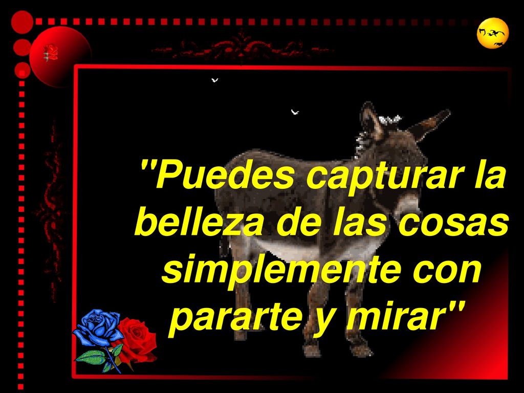 Puedes capturar la belleza de las cosas simplemente con pararte y mirar