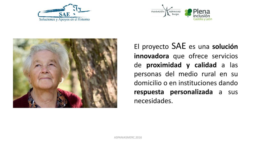 El proyecto SAE es una solución innovadora que ofrece servicios de proximidad y calidad a las personas del medio rural en su domicilio o en instituciones dando respuesta personalizada a sus necesidades.