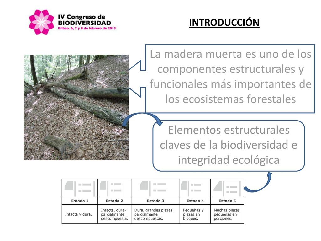 INTRODUCCIÓN La madera muerta es uno de los componentes estructurales y funcionales más importantes de los ecosistemas forestales.