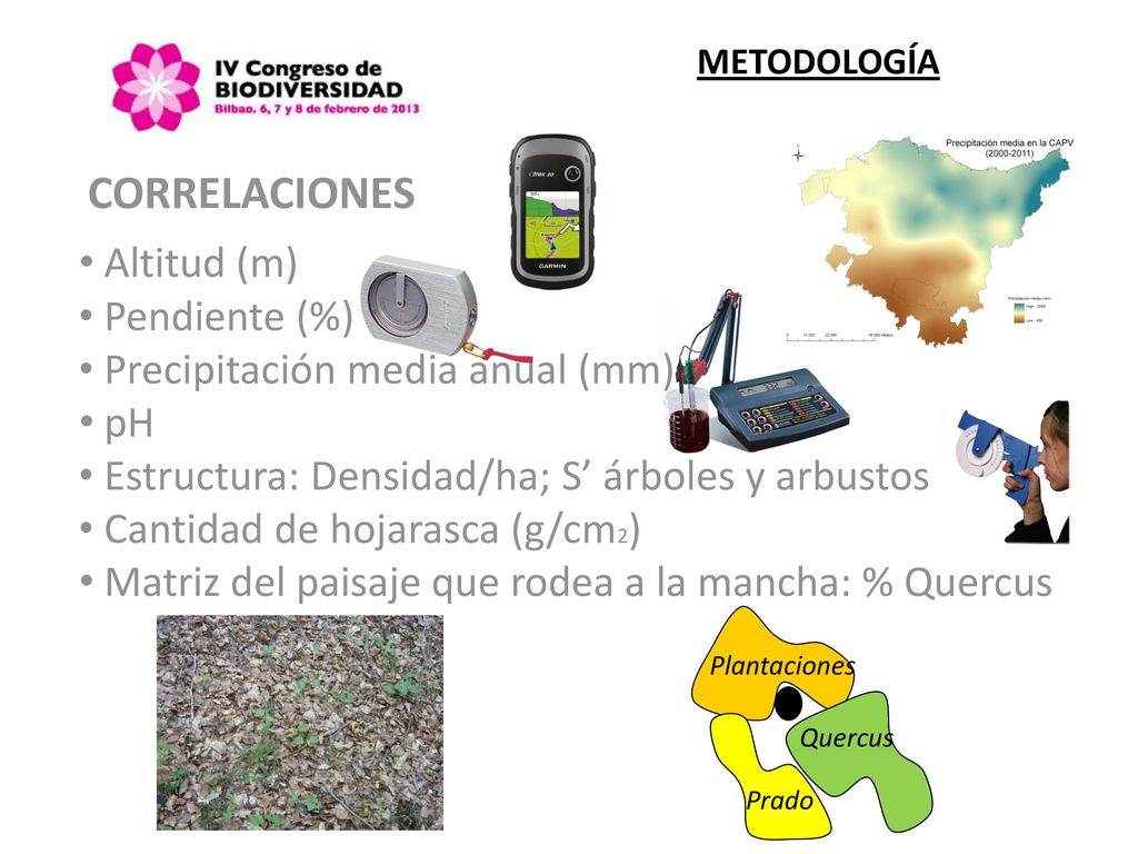 CORRELACIONES Altitud (m) Pendiente (%) Precipitación media anual (mm)