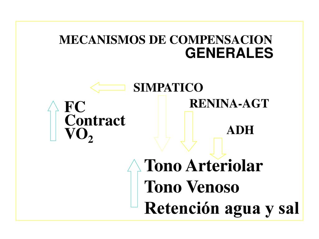Tono Arteriolar Tono Venoso Retención agua y sal FC Contract VO2