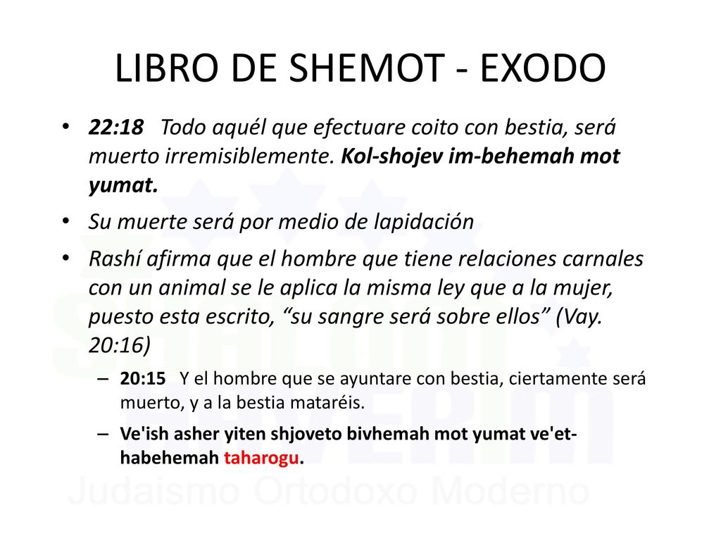 LIBRO DE SHEMOT - EXODO 22:18 Todo aquél que efectuare coito con bestia, será muerto irremisiblemente. Kol-shojev im-behemah mot yumat.