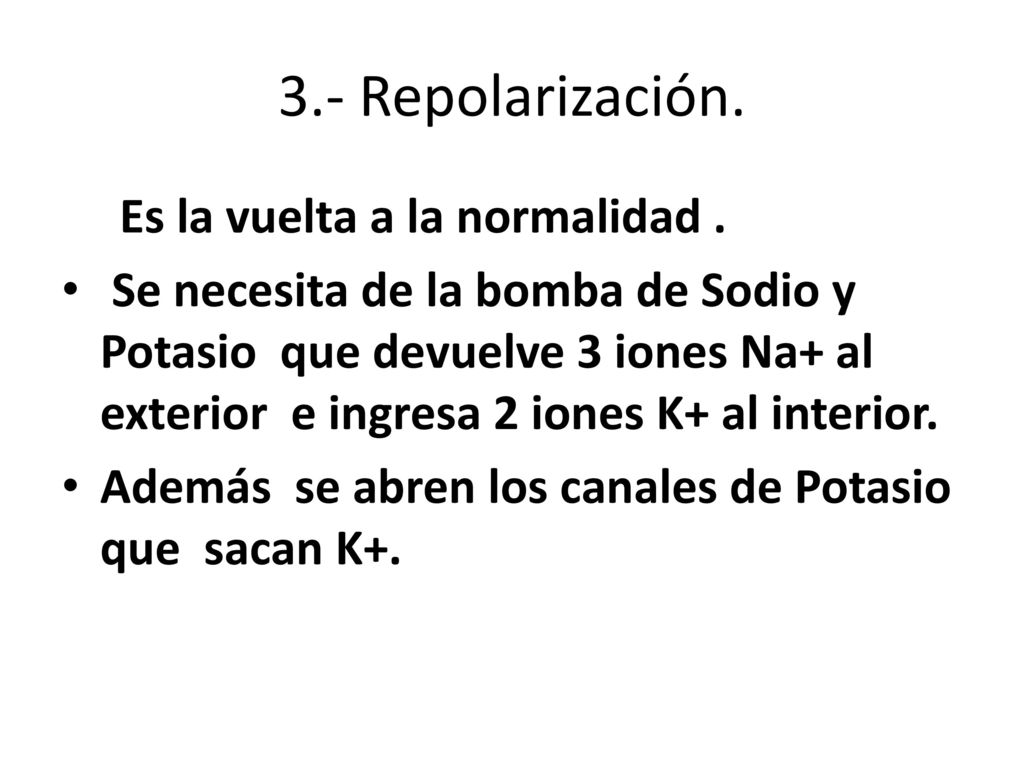 3.- Repolarización. Es la vuelta a la normalidad .