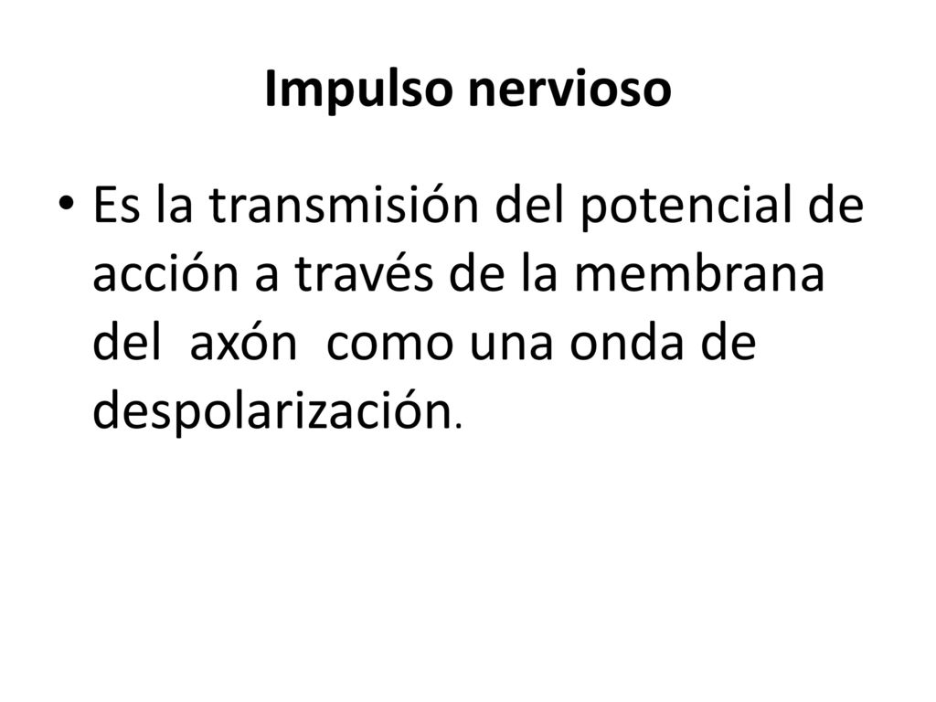 Impulso nervioso Es la transmisión del potencial de acción a través de la membrana del axón como una onda de despolarización.