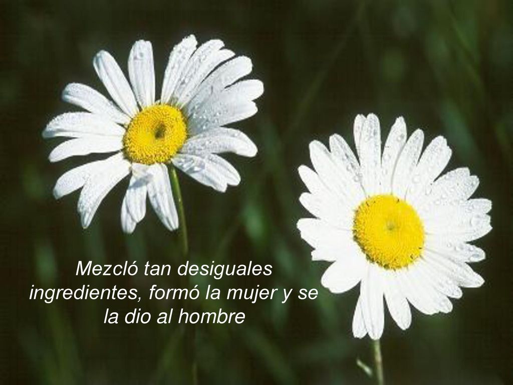 Mezcló tan desiguales ingredientes, formó la mujer y se la dio al hombre