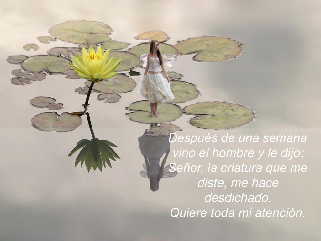 Después de una semana vino el hombre y le dijo: Señor, la criatura que me diste, me hace desdichado.