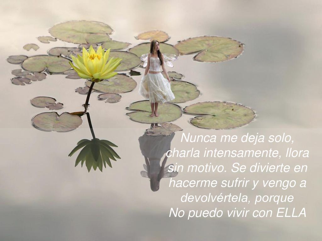 Nunca me deja solo, charla intensamente, llora sin motivo