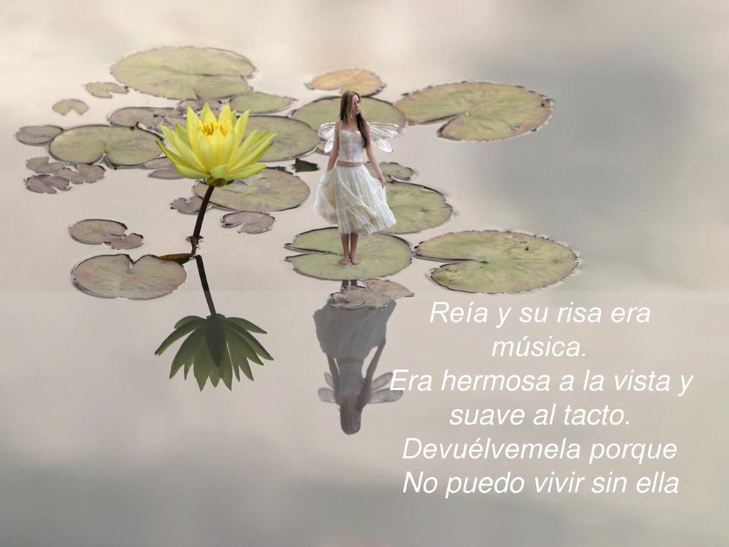 Reía y su risa era música. Era hermosa a la vista y suave al tacto