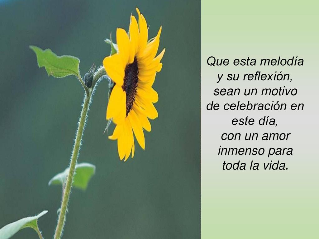 Que esta melodía y su reflexión, sean un motivo de celebración en este día, con un amor inmenso para toda la vida.