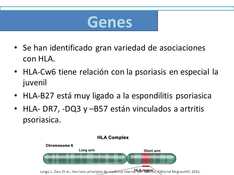 Genes Se han identificado gran variedad de asociaciones con HLA.