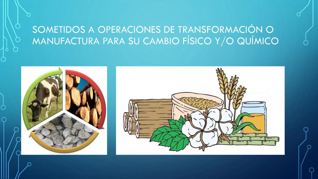 sometidos a operaciones de transformación o manufactura para su cambio físico y/o químico